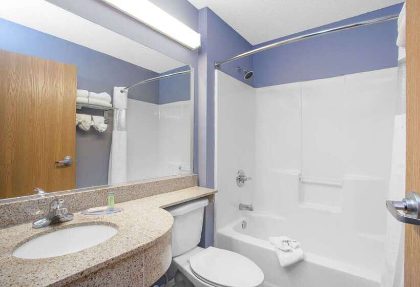 Microtel Inn And Suites Dover