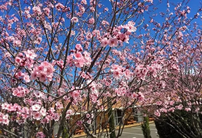 White Lanterns Motel