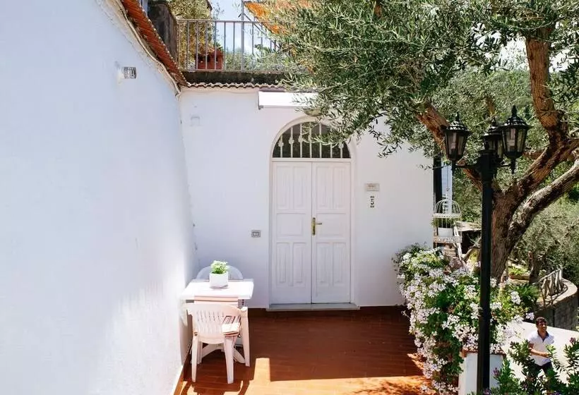 Bed and Breakfast Villa Carolina Country House