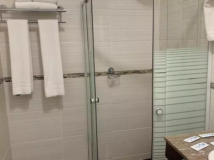 Hotel Punta Del Este Shelton