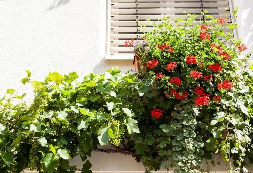 酒店 Garni Schlossgarten