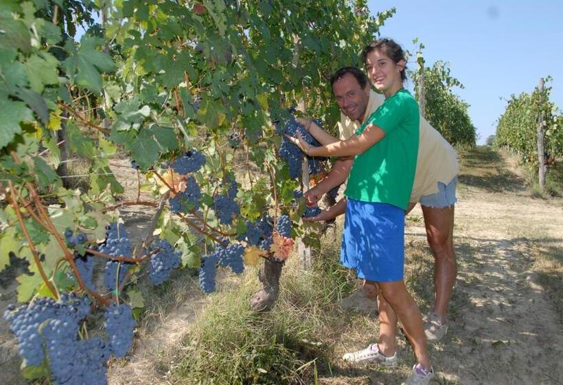 Отель Agriturismo La Mussia