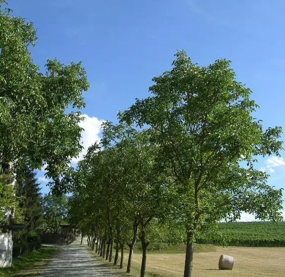 ホテル Agriturismo La Mussia