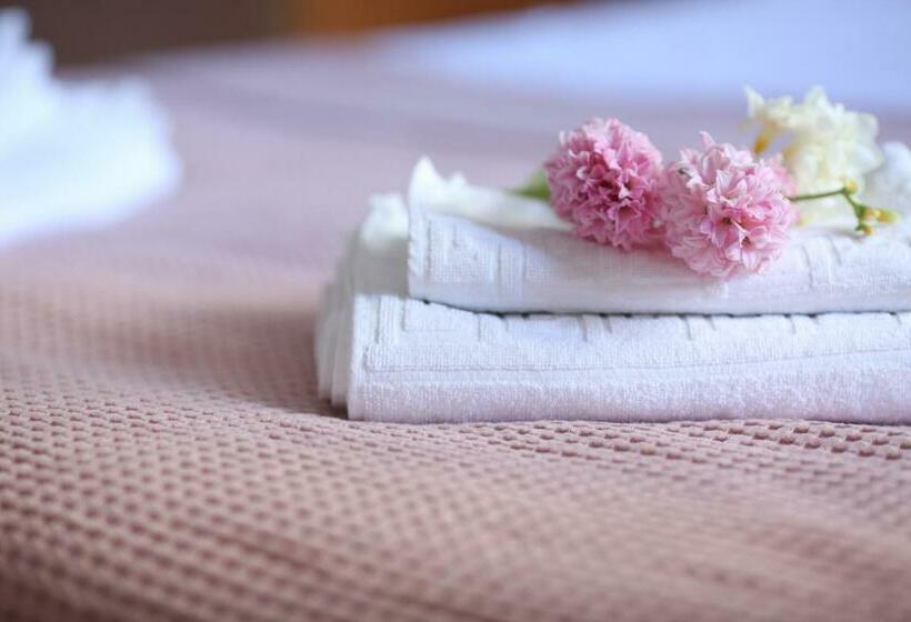 Отель Casa Tomis