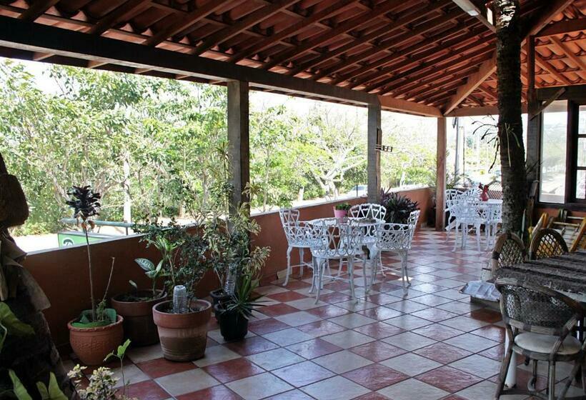 פנסיון Dante Suites