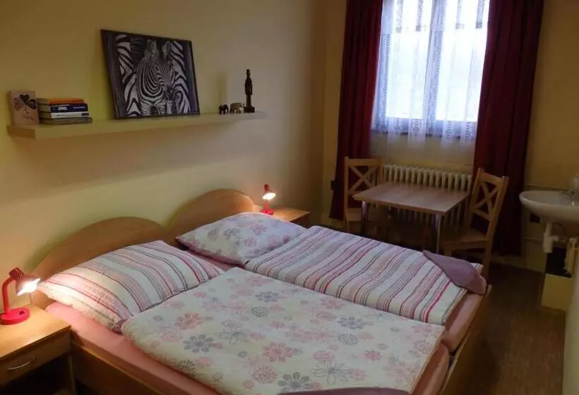 پانسیون Penzion Janovice