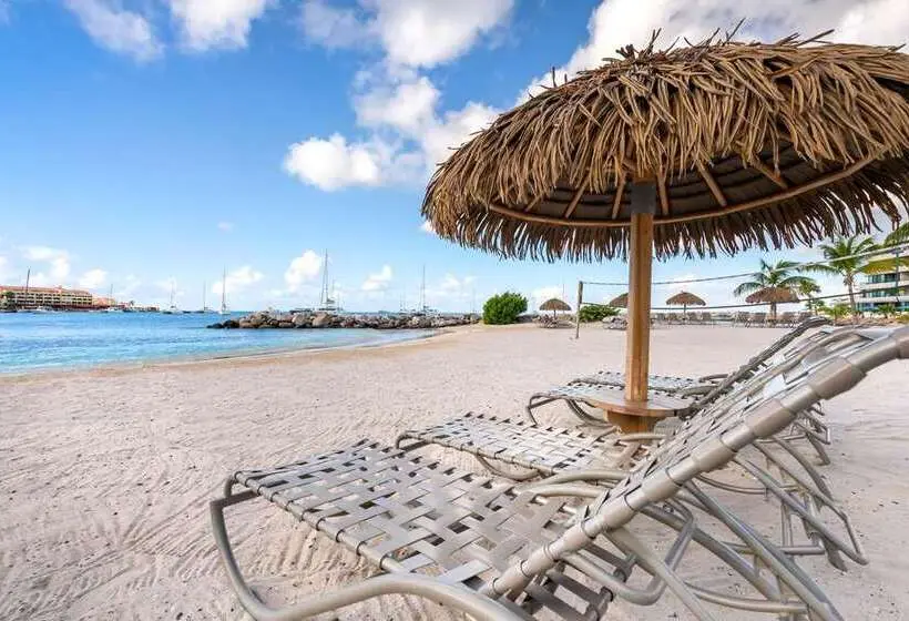リゾートホテル Hilton Vacation Club Royal Palm St. Maarten