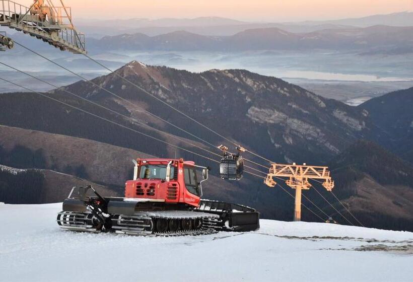 ペンション Penzion Sina