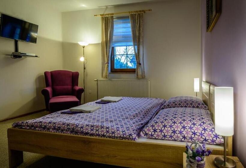 ペンション Penzion Sina