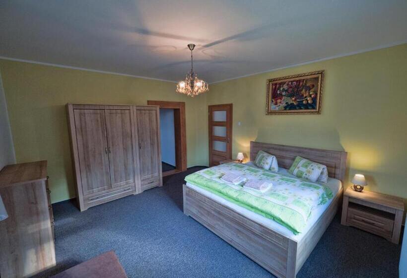 ペンション Penzion Sina