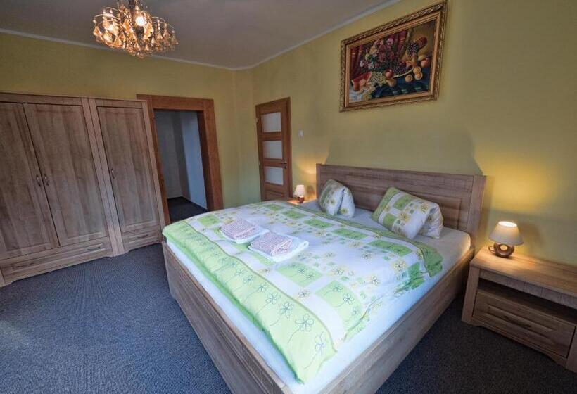 ペンション Penzion Sina