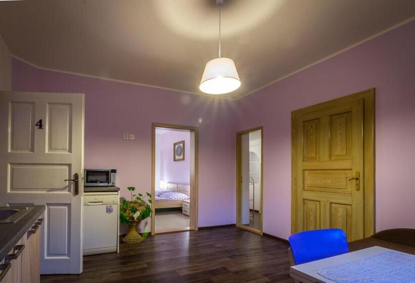 ペンション Penzion Sina