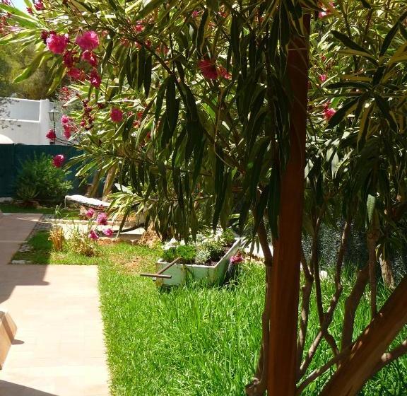 Apartamentos Osa Menor