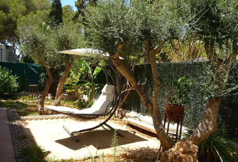 Apartamentos Osa Menor