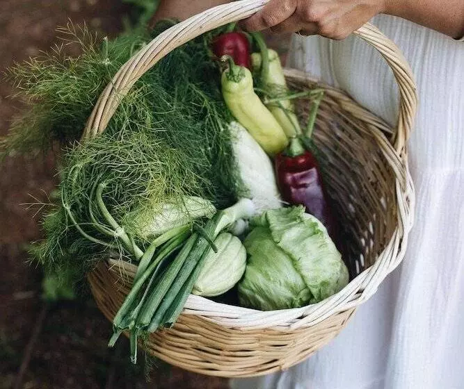 Phāea Cretan Malia, A Member Of Design Hotels