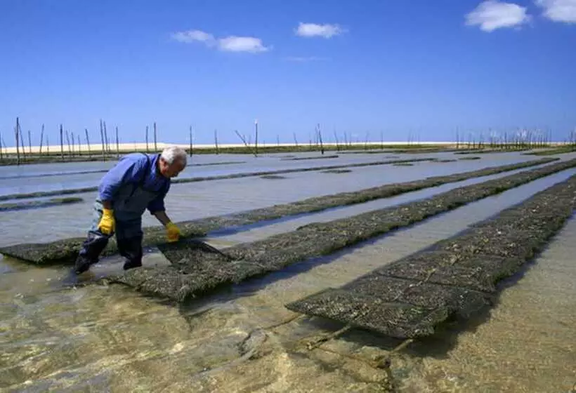 فندق Holiday Inn Bordeaux Sud Pessac, An Ihg