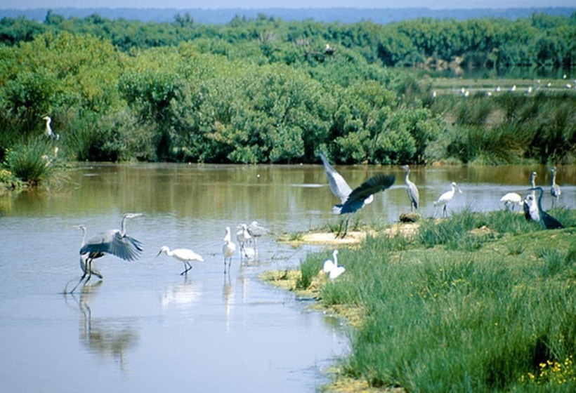 호텔 Holiday Inn Bordeaux Sud   Pessac, An Ihg
