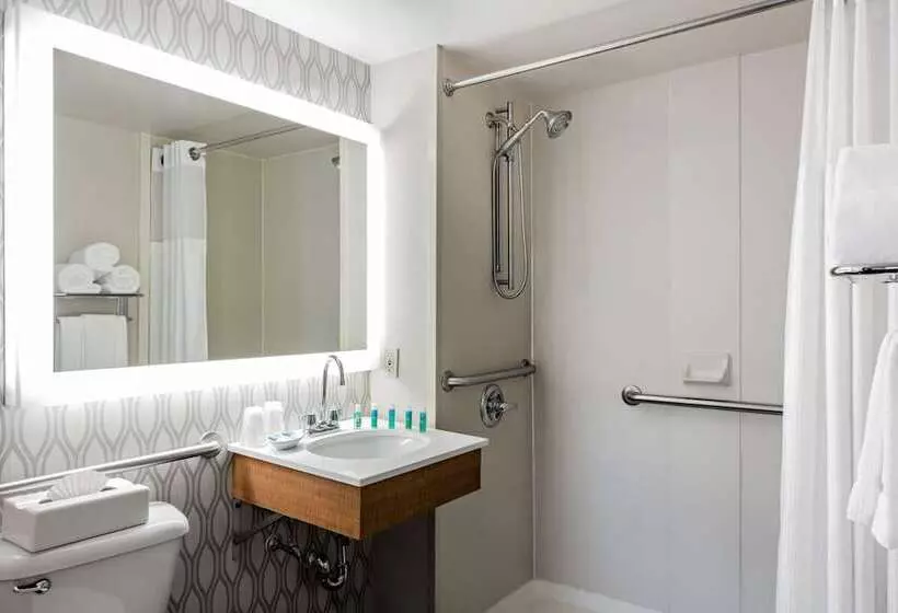 בית מלון כפרי Holiday Inn Express Brooklyn, An Ihg