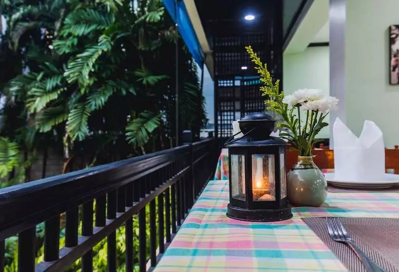 호텔 Karon Whale Resort