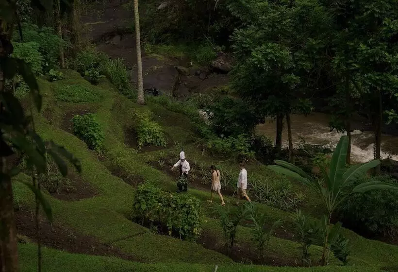 ホテル Kayumanis Ubud Private Villas & Spa