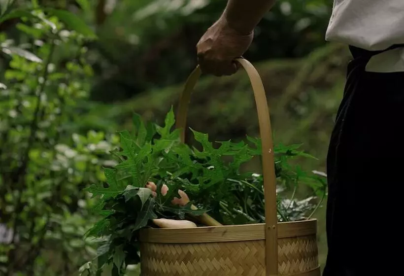 ホテル Kayumanis Ubud Private Villas & Spa