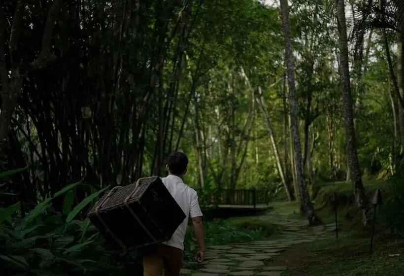 ホテル Kayumanis Ubud Private Villas & Spa