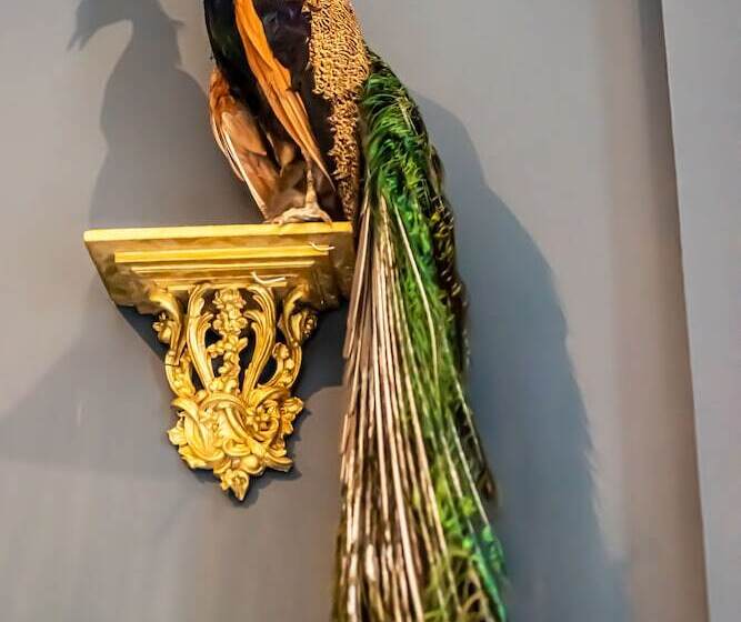 هتل Melville Castle