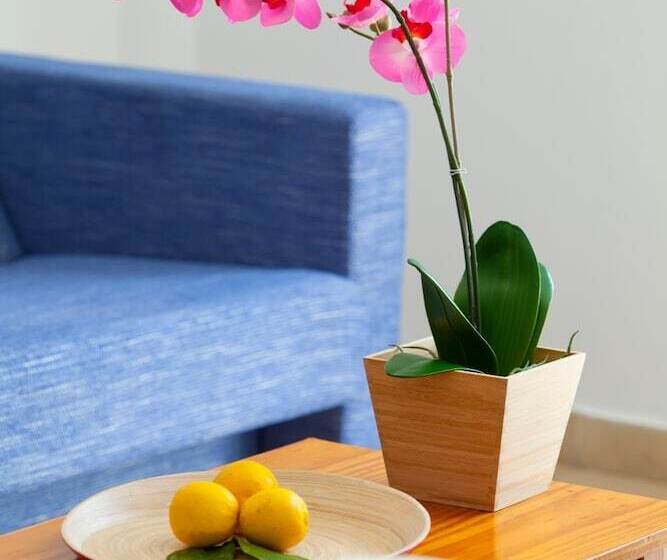 Paloma Hotel Apartments