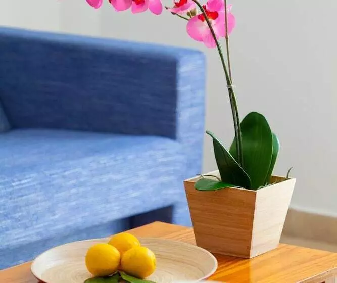 Paloma Hotel Apartments