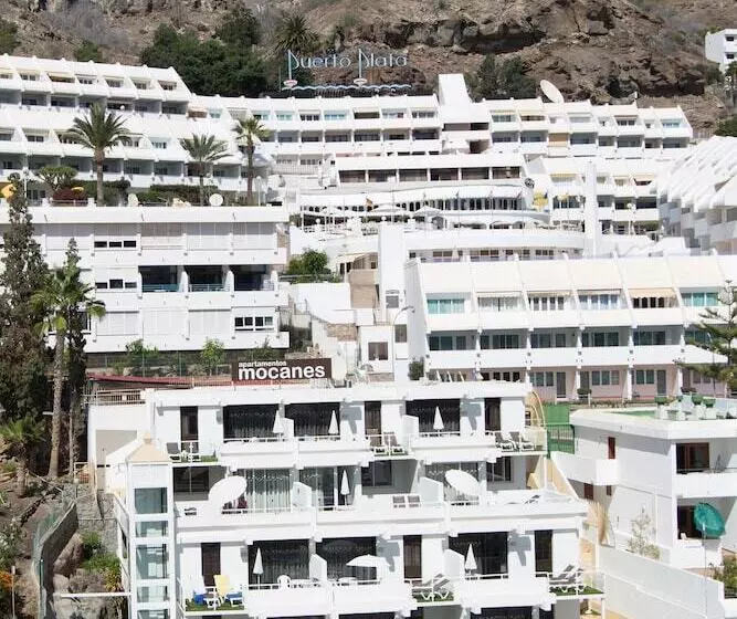 Apartamentos Los Mocanes