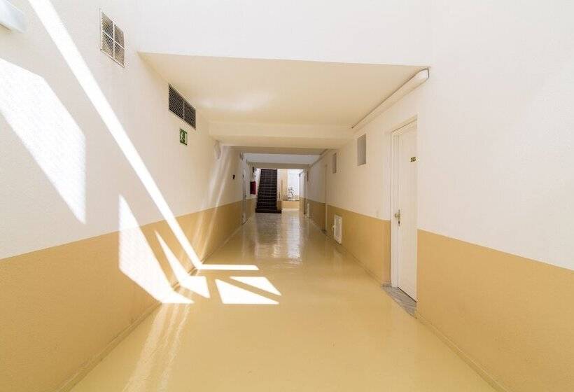 Apartamentos Los Mocanes