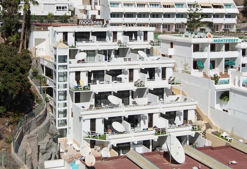 Apartamentos Los Mocanes