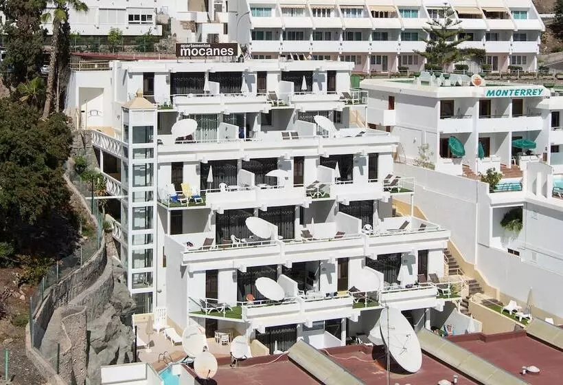 Apartamentos Los Mocanes