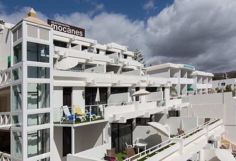 Apartamentos Los Mocanes