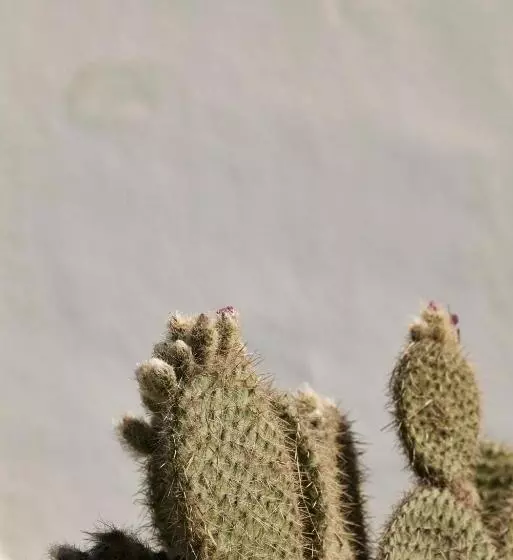 호텔 Sunrise Beach Mykonos   A Myconian Collection