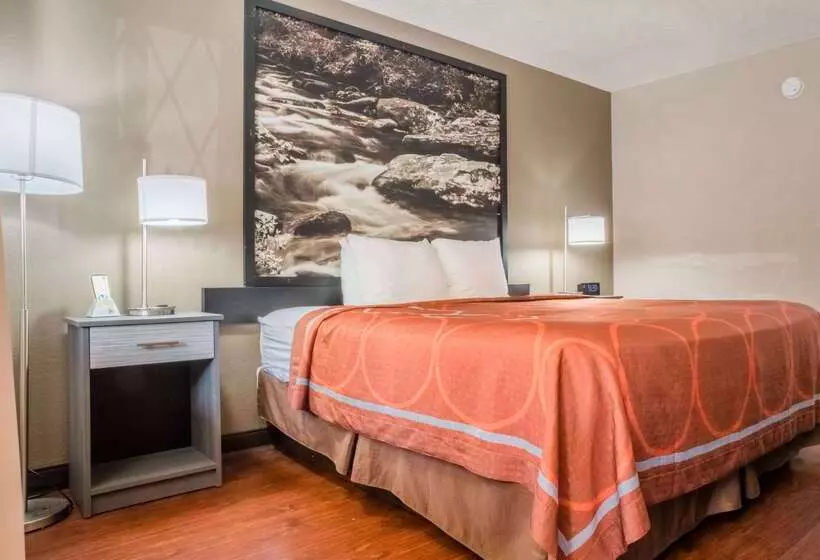 酒店 Super 8 By Wyndham Downtown Gatlinburg At Convention Center
