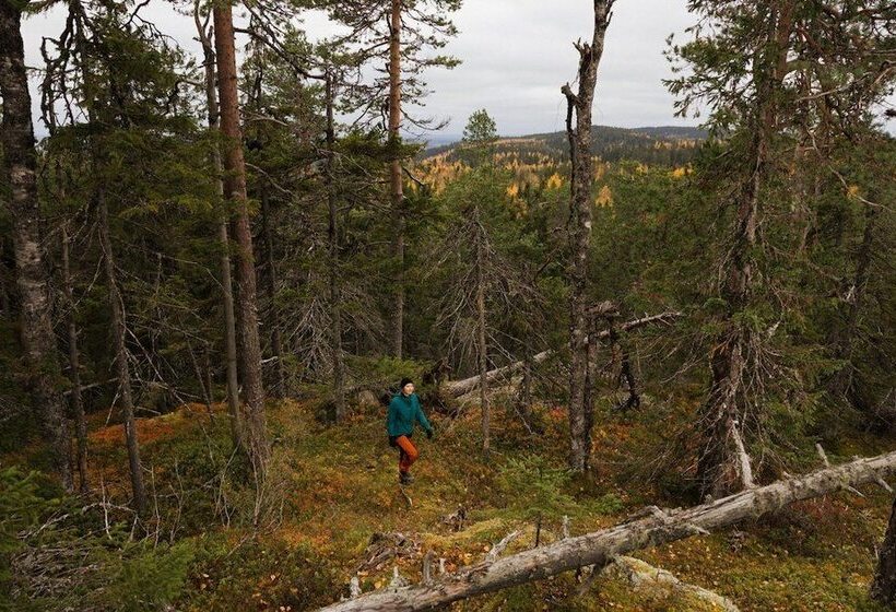 Break Sokos Hotel Vuokatti