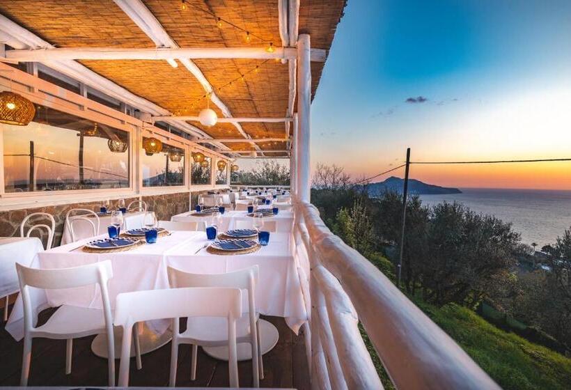 호텔 Gocce Di Capri Resort