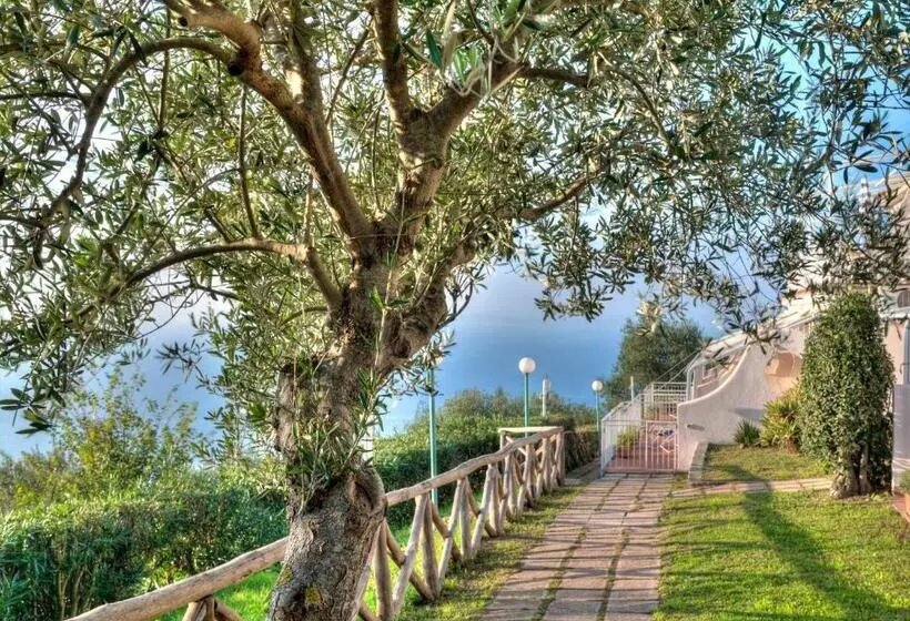 酒店 Gocce Di Capri Resort