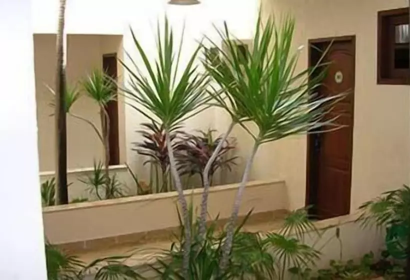 בית מלון כפרי Navegantes Praia