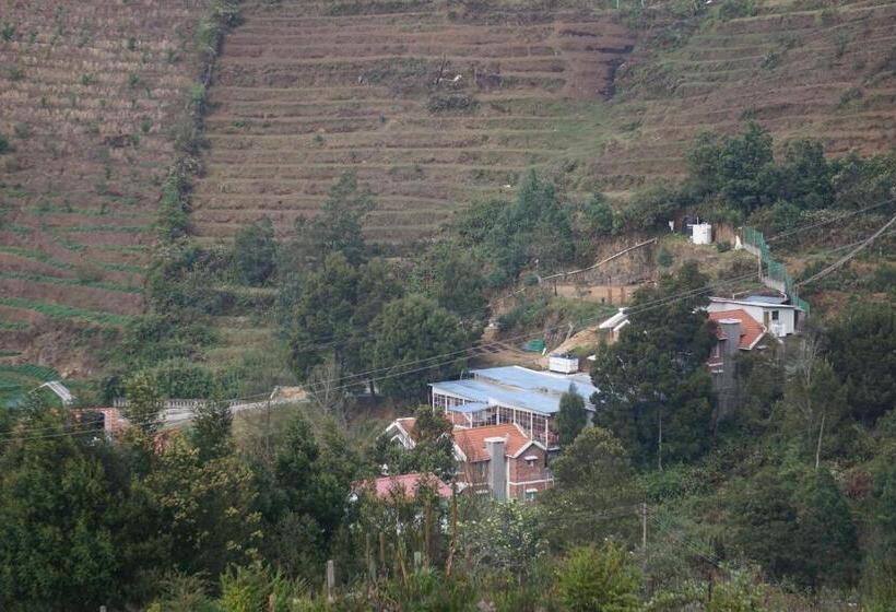 Bed and Breakfast Cottages By The Creek