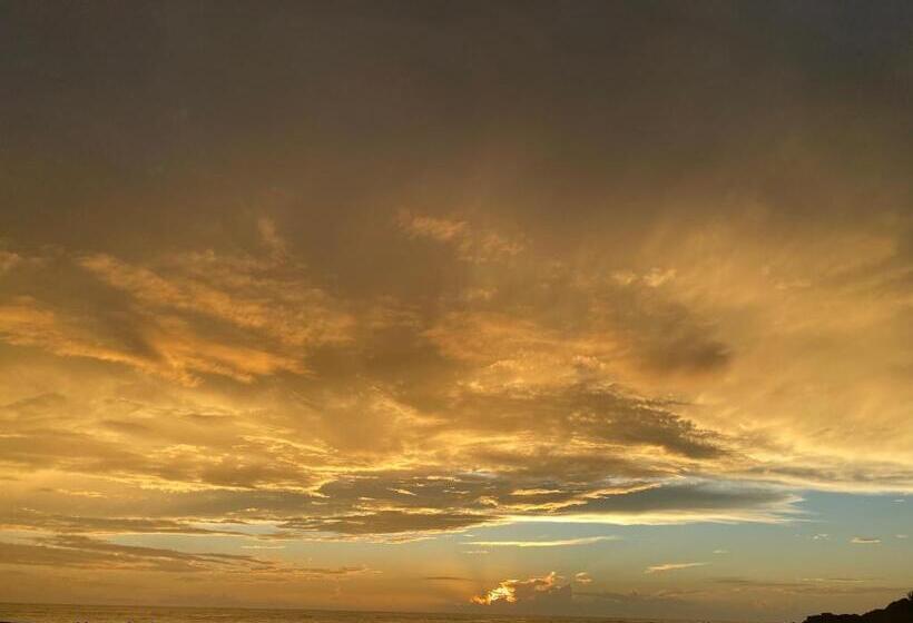 Hotel Hare S Bar And Restaurant