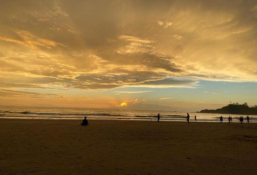 Hotel Hare S Bar And Restaurant