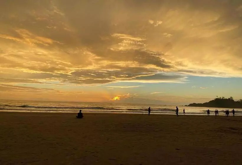 Hotelli Hare S Bar And Restaurant