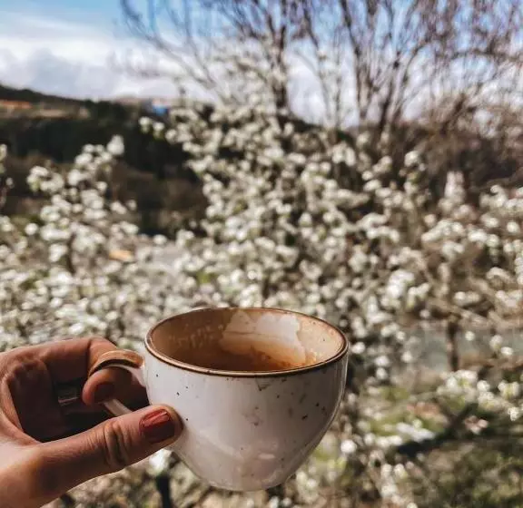 Hotelli Paxlava Guesthouse & Restaurant