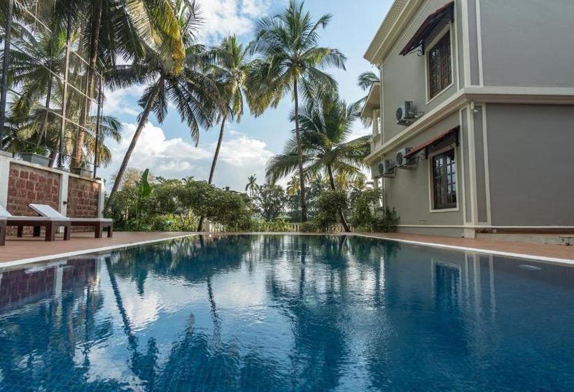 منتجع The Foothills   A Boutique