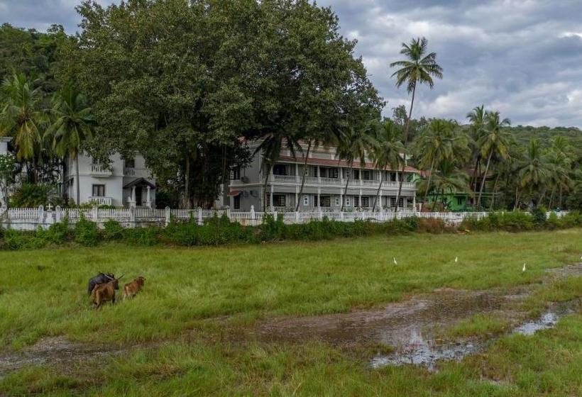 منتجع The Foothills   A Boutique