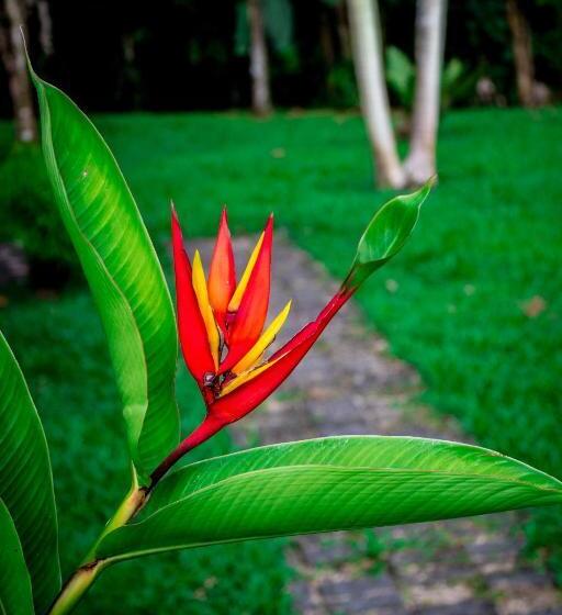 Hotel Confort Arenal