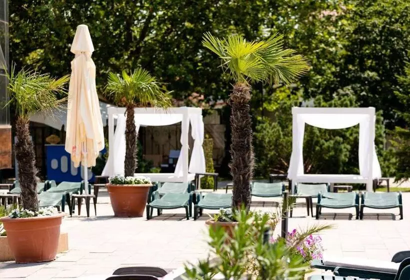 ホテル Terra&beluga Events