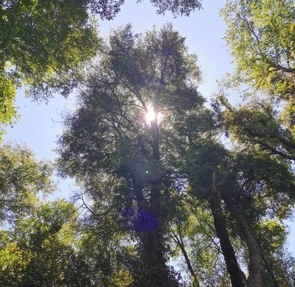 Panzió Hostal La Casita Del Bajo